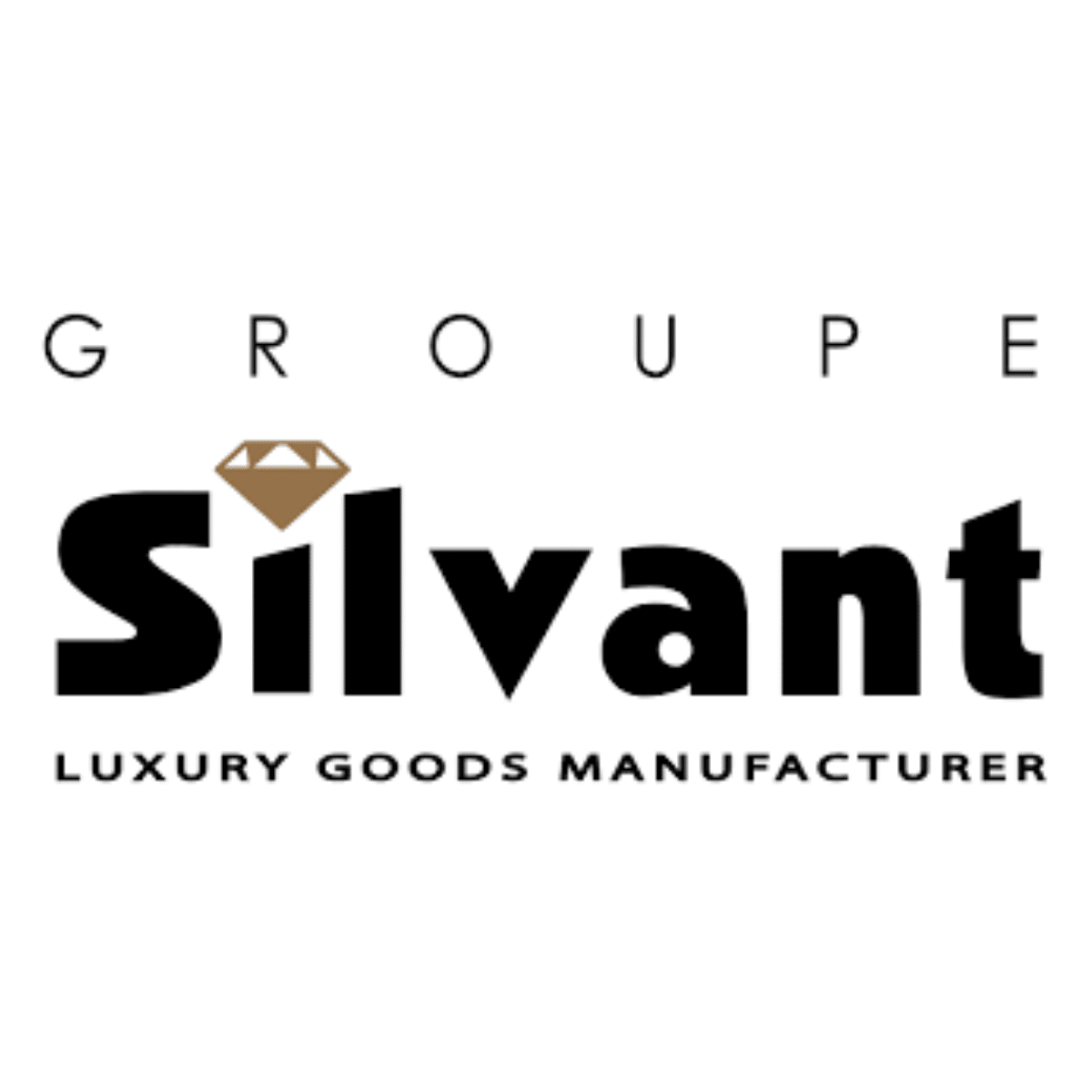 Logo groupe Silvant